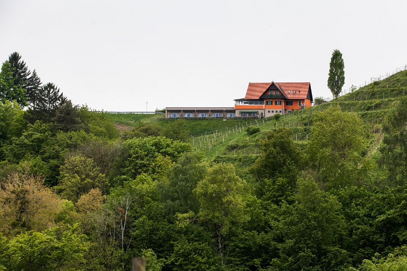Foto_Wohlmuth-Lückl_005