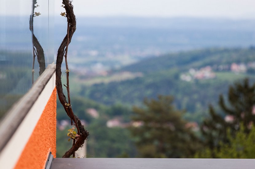 Foto_Wohlmuth-Lückl_049