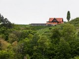 Foto_Wohlmuth-Lückl_005.jpg