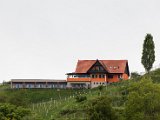 Foto_Wohlmuth-Lückl_006.jpg