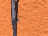 Foto_Wohlmuth-Lückl_011.jpg