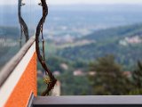 Foto_Wohlmuth-Lückl_048.jpg