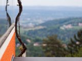Foto_Wohlmuth-Lückl_049.jpg