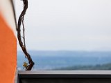 Foto_Wohlmuth-Lückl_050.jpg