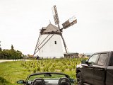 IMG_0135.jpg