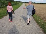 20190814_171528(0).jpg