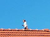 20190815_115111.jpg