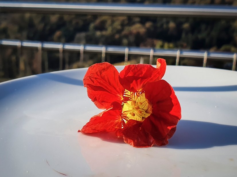 20191026_093813