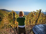 20191025_115036(0).JPG