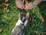 20191025_135626.JPG