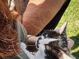 20191025_135750.JPG