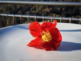 20191026_093813.JPG