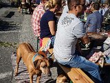 20191026_125020.JPG