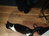20191027_031924.JPG