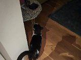 20191027_031927.JPG