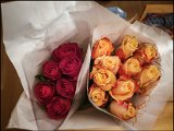 20191108_003937.jpg