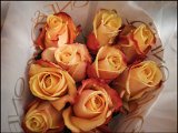 20191108_003950.jpg
