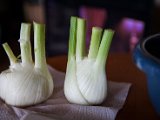 IMG_0042.jpg