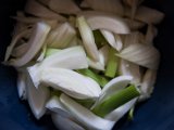 IMG_0055.jpg