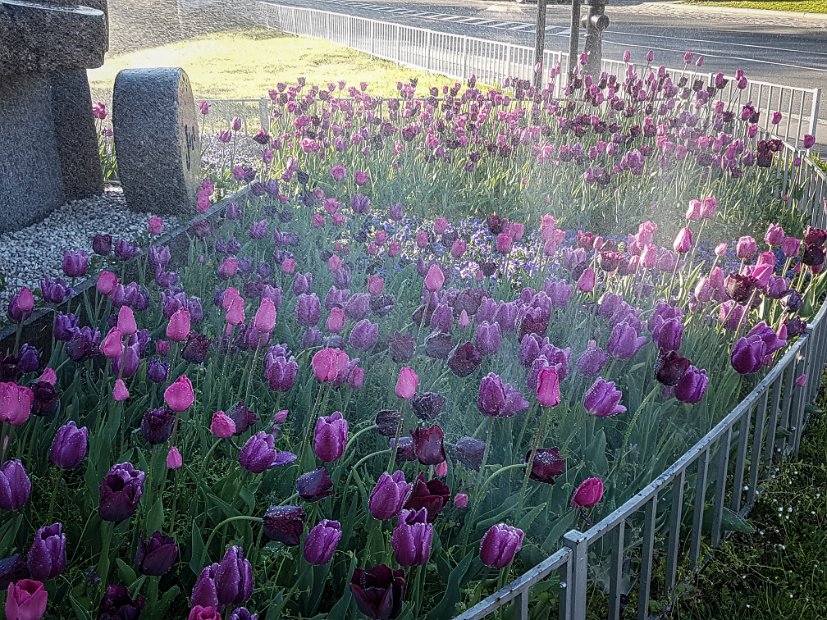 20190422_073302