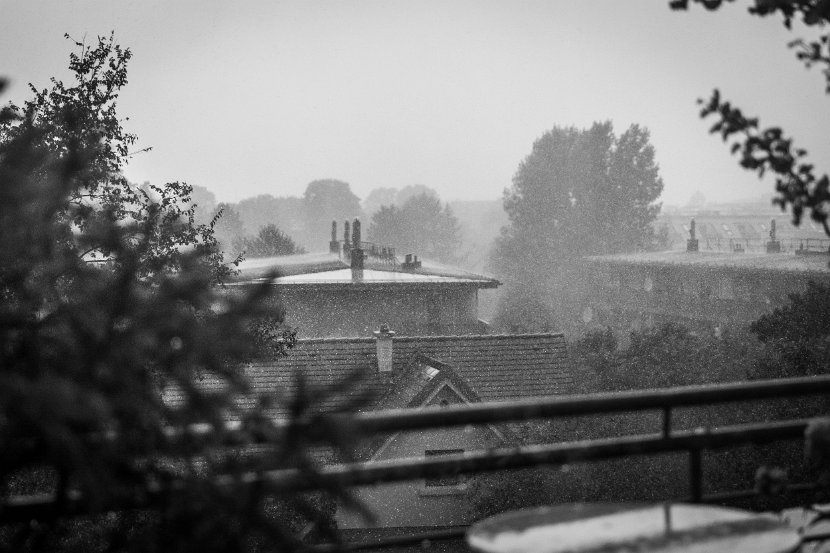 IMG_3176