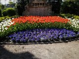 20190421_100830.JPG