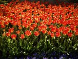 20190421_100847.JPG