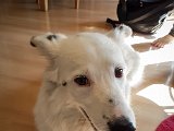 20190421_153749.JPG