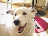 20190421_153819(0).JPG