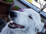 20190421_160630.JPG