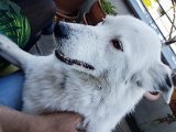 20190421_160639.JPG