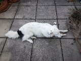 20190421_161026.JPG