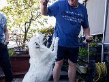 20190421_161051(0).JPG