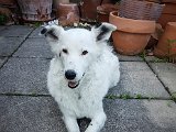 20190421_161250.JPG