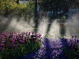 20190422_073310.JPG