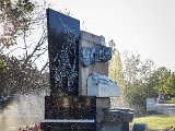 20190422_073611.JPG