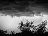 IMG_3136.jpg