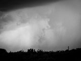 IMG_3143.jpg