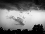 IMG_3148.jpg