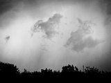IMG_3152.jpg