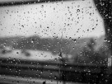 IMG_3171.jpg