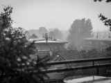 IMG_3176.jpg
