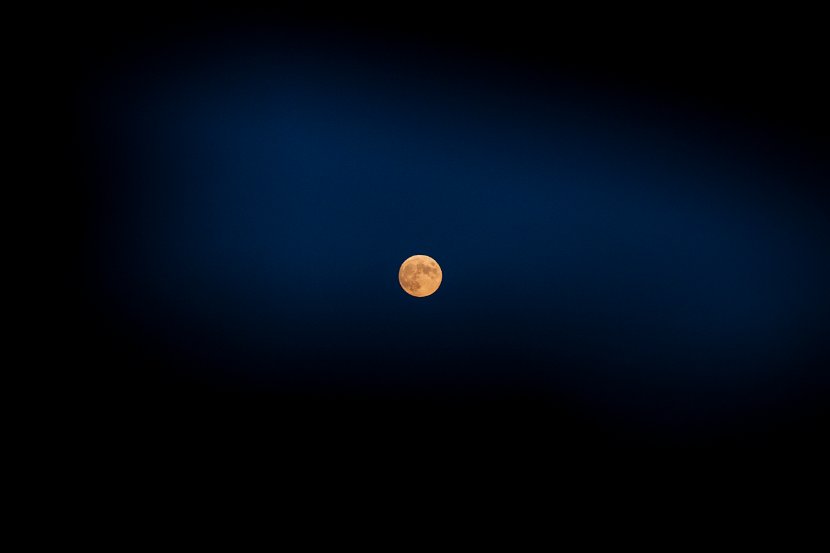 IMG_0570