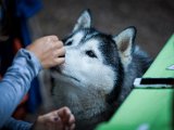 IMG_0142.jpg