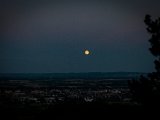IMG_0546.jpg