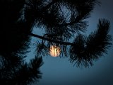 IMG_0562.jpg