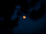 IMG_0566.jpg