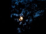 IMG_0664.jpg