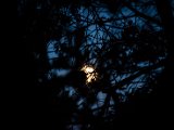 IMG_0669.jpg