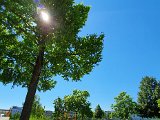 20200731_115129.jpg